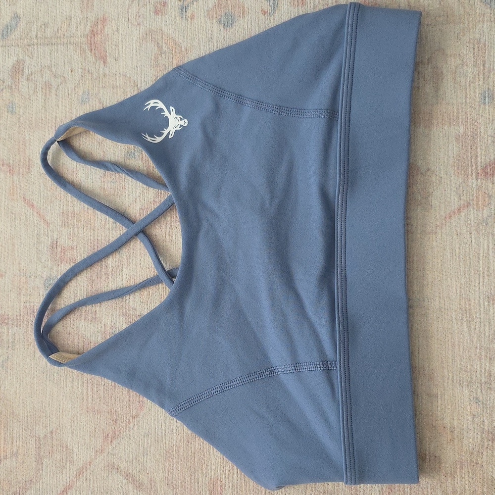 Bucked Up Blue Sports Bra